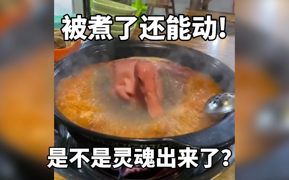鸭子被煮了，竟然还能动