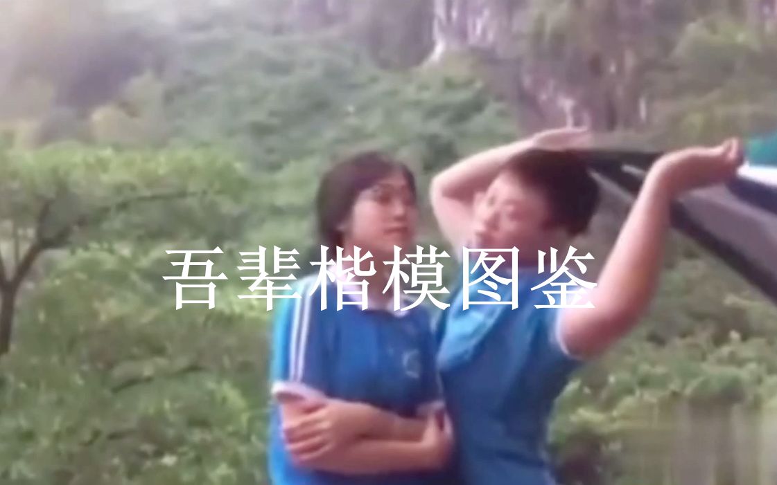 吾 辈 楷 模图鉴