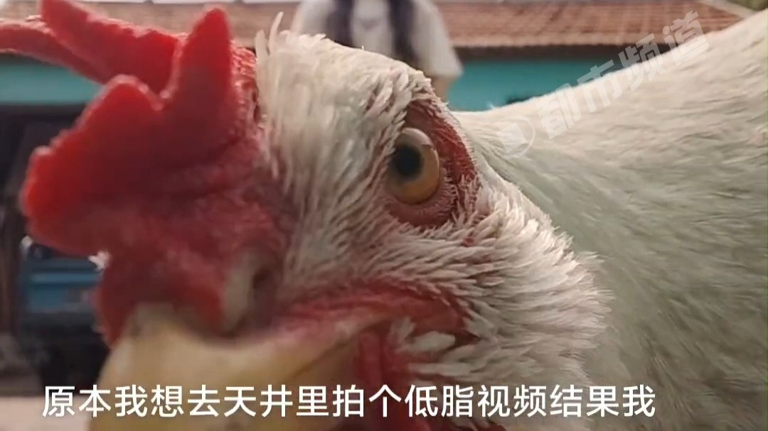 女生摆好手机准备录视频，...