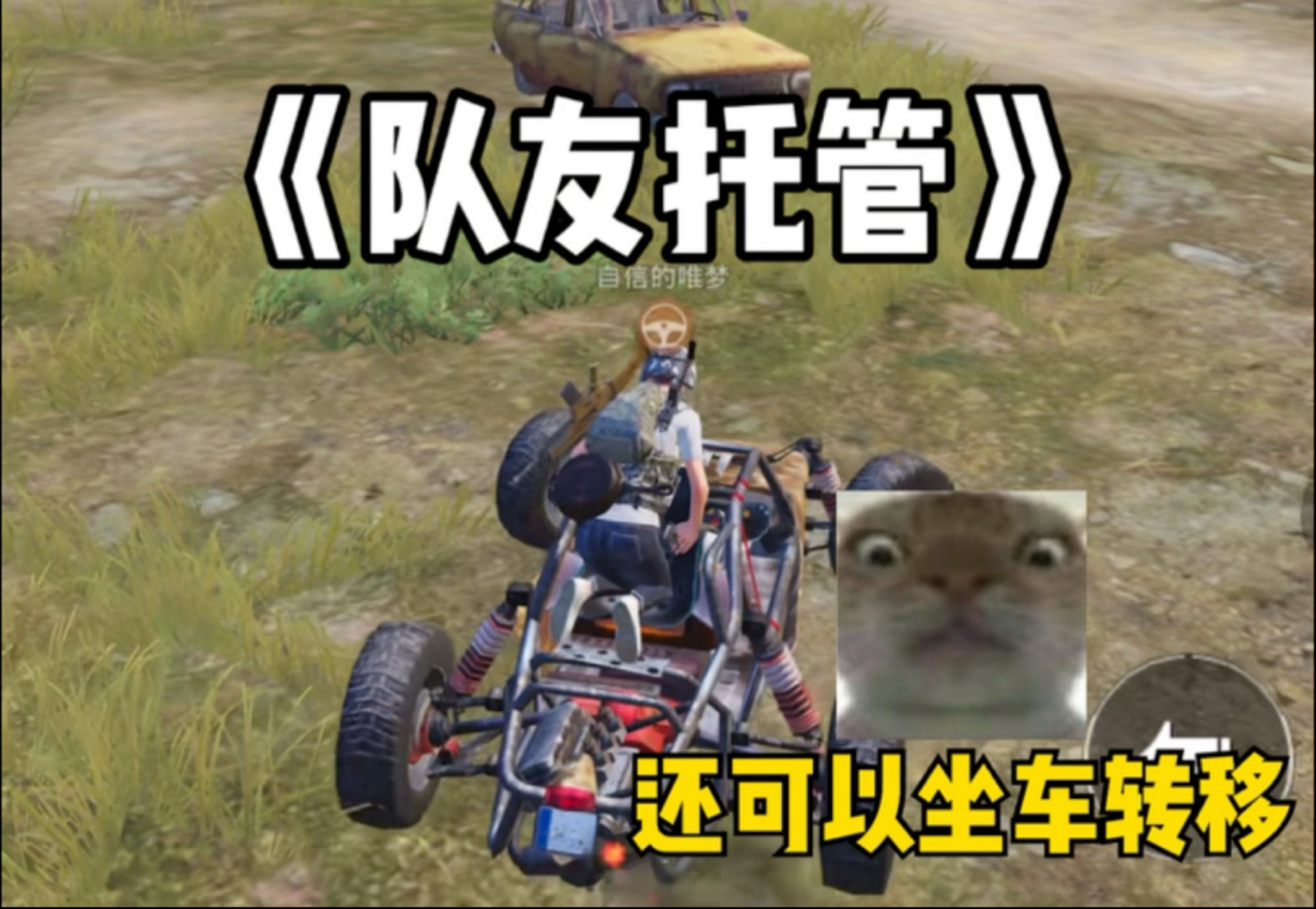 《队友托管》
