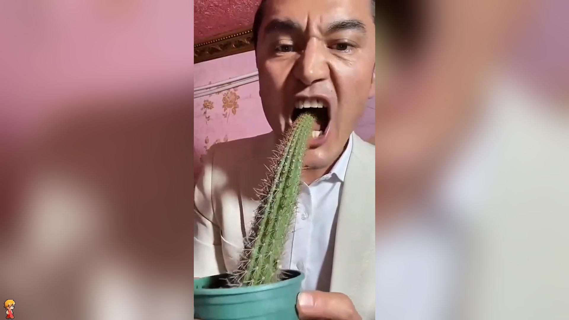 完了，今天的功德又笑没了...