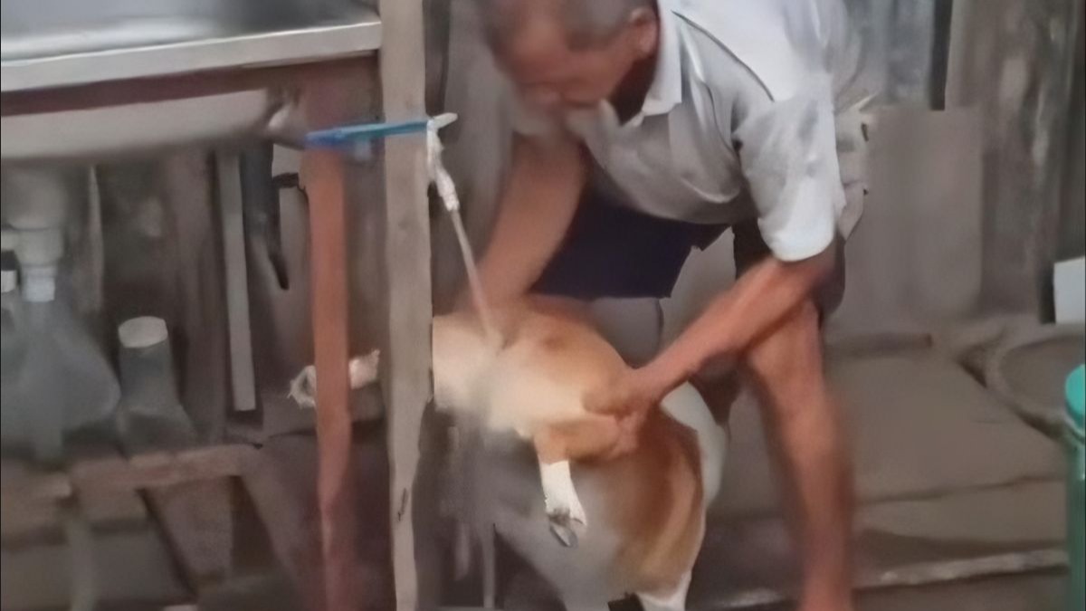 地球生物逆天难绷视频集锦...