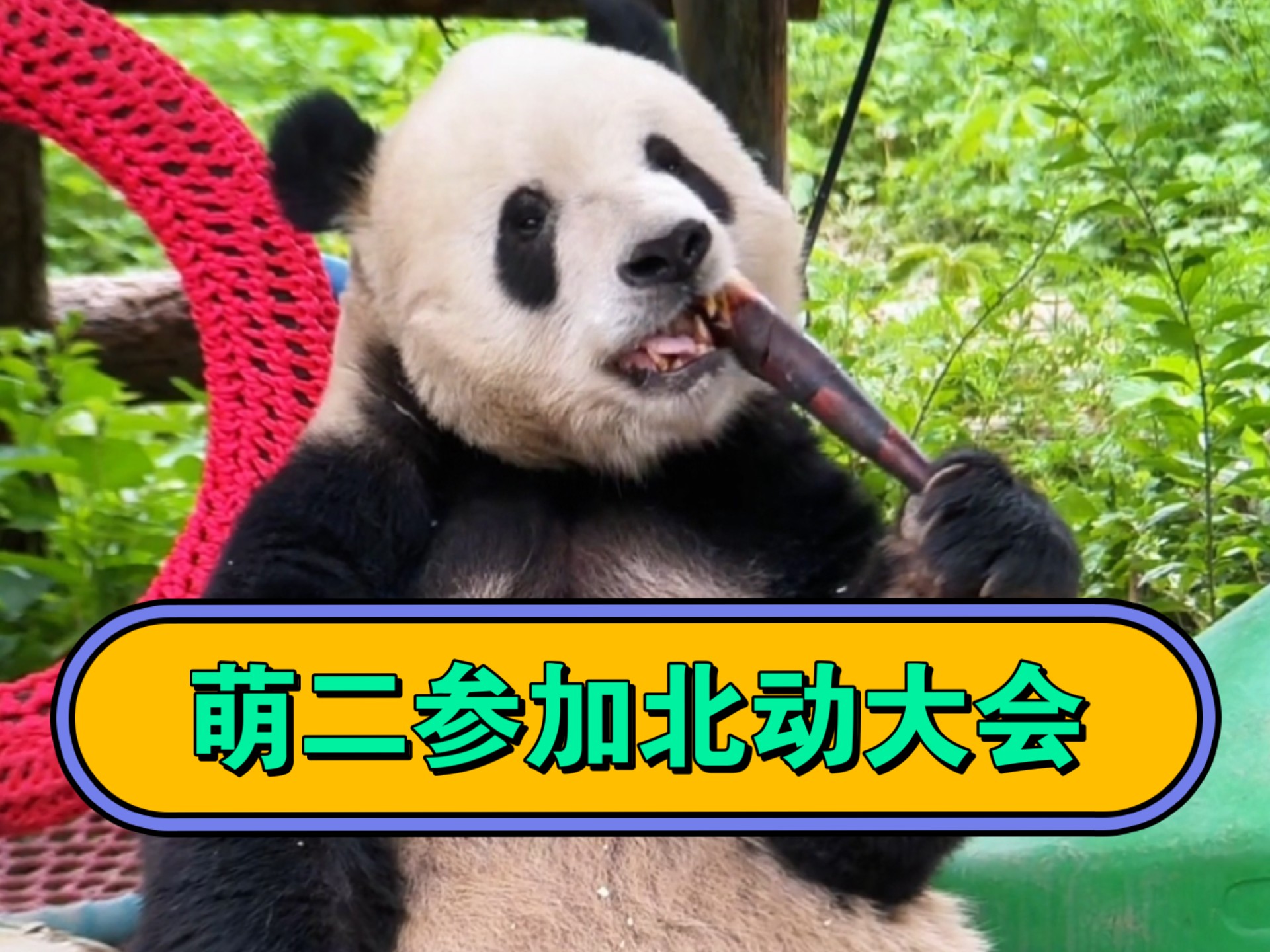 啥！谁是荣华，谁是富贵，...