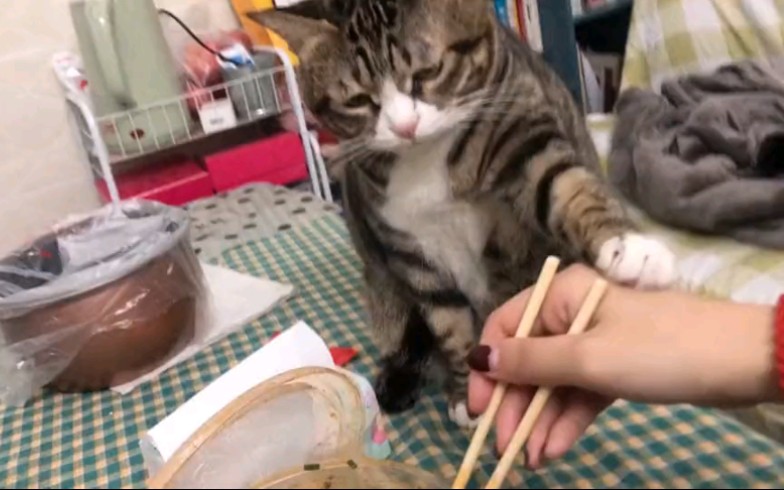 别吃！这是屎！