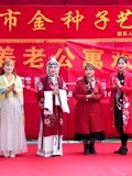 漯河金种子艺术团节目展演
